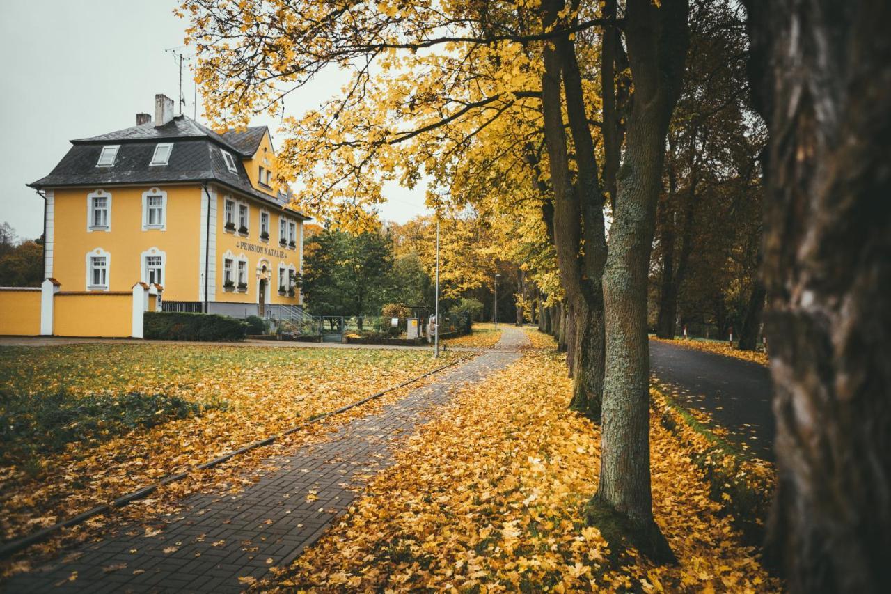 Apartmany Natalie Frantiskovy Lazne Exterior photo
