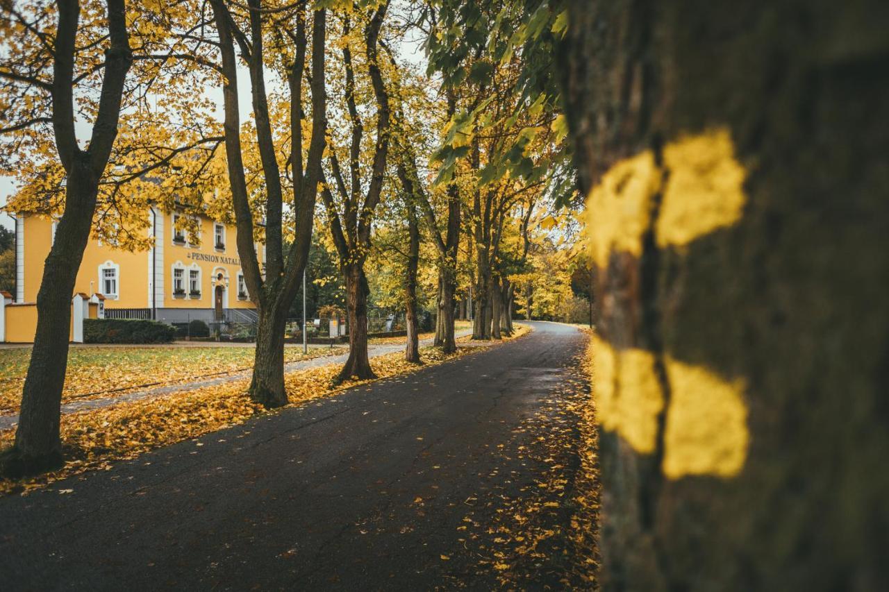 Apartmany Natalie Frantiskovy Lazne Exterior photo