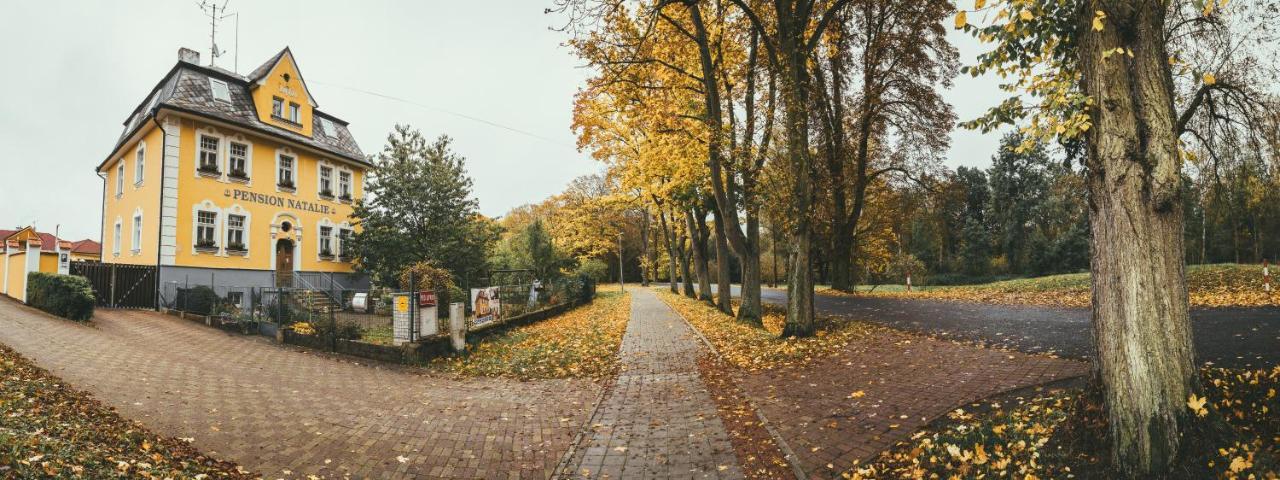 Apartmany Natalie Frantiskovy Lazne Exterior photo